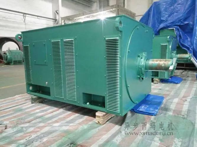 西瑪電機(jī)Y5603-10 560KW <a href=http://www.hhepe.com.cn/new/new-47-621.html target='_blank'><a href=http://www.hhepe.com.cn/new_tags_225.html target='_blank'>10kv高壓電機(jī)</a></a>